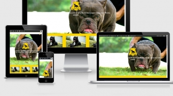 Lemagic Etape Web Design S&B Media