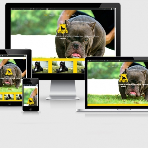 Lemagic Etape Web Design S&B Media